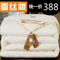 Silk quilt winter thickened silk cotton quilt core Spring and Autumn quilt is too air-conditioned double single student bedding winter
