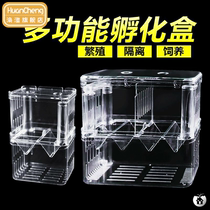 Fish tank isolation box juvenile fish sick fish injured incubator fish Peacock phoenix tail breeding special fine net aquarium isolation net