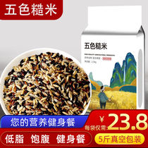 Brown Rice Miscellaneous Cereals Weight Loss Five Color Brown Rice New Rice 5 Cati Red Rice Black Rice Coarse Rice Coarse Grain Fitness Germ Rice Fat Minus