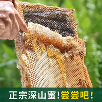 Fine farming honey pure natural wild flower source without adding farmers to produce authentic deep mountain acacia honey 500g