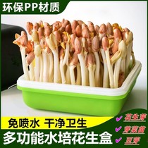 New peanut bud hydroponic box multifunctional planting box artifact household sprouts bean sprouts seedling plate small square box