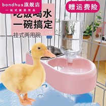 Duck feeder Hanging feed bucket Pet Cole duck feeding duck sink Anti-step over cage Floating special products
