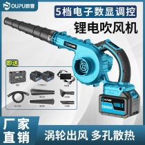 Germany imported Opal lithium electric hair dryer computer dust collector small rechargeable soot blower high power blowing suction