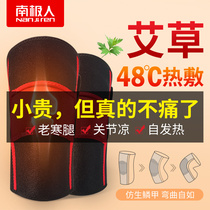 South Pole Man Agrass Care kneecap cover jacket warm and old chill leg hot compress male and female joint fever old man anti-cold deity