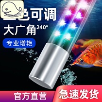 Lighting Diving aquarium LED fish tank Parrot fish special lamp Light High bright LED water brightening color lamp
