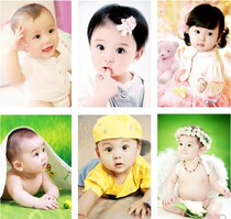 Cute baby poster photos beautiful men and women Wall stickers baby portrait pregnant women prenatal education early education picture baby painting