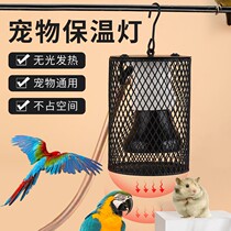 Parrot heat preservation lamp matte ceramic warm lamp young bird anti-bird heater anti-bite belt cover heating lamp