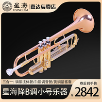 Xinghai trumpet professional performance trumpet musical instrument students adult B- flat phosphate copper brass three-in-one
