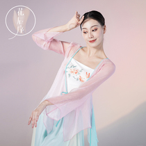 Floral motifs new classical dance dancer dress Chinese dance practice with female body rhyme and fairy air flutter blouses