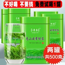 Guizhou Rizhao alpine cloud Green Tea 2021 new tea special fragrant Mao Jian tea bulk tea gift box 500g