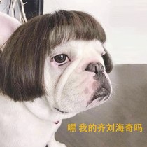 Pet wig set dog wig cospla props pet headdress dog headdress funny clothes transformation a