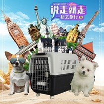 Pet Aviation Box Kitty Dogs Out Portable Cat Cage Small Mid Sized Canine Air Checked On-board Dog Cage