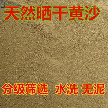 Graded selection of yellow sand natural river sand multi-meat worthy soil sandy fish tank bottom sand turtle hibernating yellow sand bulk