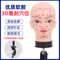 Skin Management Head Model Beauty Safari Learn Face Acupuncture Massage Practice Method Fake Head Model with Shoulder
