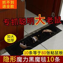 Glue mouse board strong adhesive Big Mouse King Zhong Wang catch big mouse paste super large number Super Rat Trap artifact home