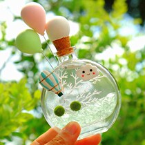 MARIMO seaweed polumimo micro landscape pellaria ecological bottle hydroponic plant indoor perfume bottle to send nutrient solution