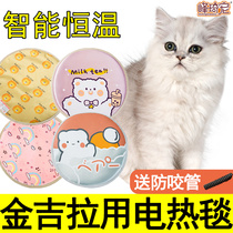 Gold gira special thermostatic electric blanket nest kittens sleeping electric bedclothes for winter heating mat cats with waterproof and anti-bite