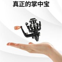 Tokushima VM800 Mini Fishing Wheel Iso Fishing Wheel Fish Wire Wheel Spinning Wheel Horsemouth Fishing Wire Wheel Fish Wheel Luja Micromatter Wheel