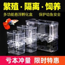 Fish tank isolation box guppies breeding box artifact small fry hatching female fish acrylic juvenile fish phoenix tail birth box