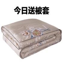 Antarctic official flagship store silk quilt 100 mulberry silk spring and autumn winter quilt two-in-one child mother quilt