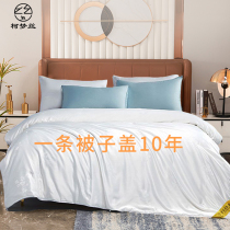 Handmade jacquard silk quilted by 100% mulberry silk air conditioning Summer cool quilt with wedding quilt Double delight quilt for children Spring and autumn