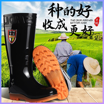 Summer Downfield Shanghai Signs Natural Rubber Breathable Water Shoes Takeaway Riders Water Shoes Mens Fire Shoes Planting Rice Seedlings High Cylinder