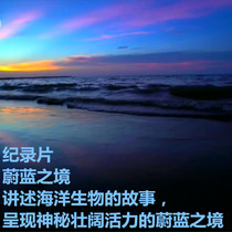 CCTV first panoramic show the Sea style documentary Blue realm 6 all