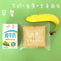 Whole wheat bread oil-free sucrose fat for breakfast and dinner staple food coarse grains satiated toast low true non-weight loss 0