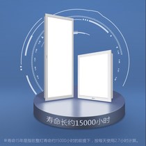 Bull integrated flat top light led kitchen toilet ceiling light kitchen and bathroom light 300x600 bathroom gusset plate flat light