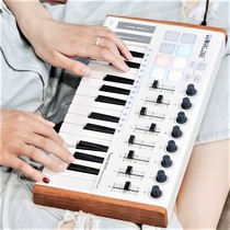 worlde-PANDAmini25 key midi keyboard pad music arrangement keyboard electric midi controller