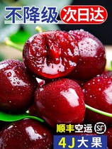 Chile imported cherries 5kg of fresh fruit in the season box 4j gift box extra large pregnant women imported 3 cherries