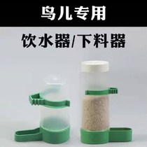 Thickened Bird Automatic drinking water dispenser feeder kettle water cup anti-sprinkling water box food box bath bird supplies