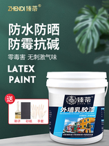Exterior Wall latex paint household waterproof sunscreen outdoor paint hair brush room wall paint outdoor off-white paint self-brush