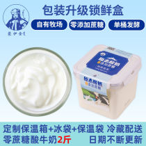 Sugar-free yoghurt Weight loss Special 2 catts No sugar yoghurt Fitness Fat No Cane Sugar breakfast Baby coveting fruit