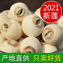 New goods with core white lotus seeds dry goods 500g specialty Xiangtan Hunan lotus seeds with heart grinding skin lotus seeds have core sulfur-free 1kg