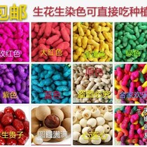 Wedding supplies staining peanut zao sheng gui zi safflower sheng cai peanuts jujube press ornaments dried lotus seeds longan