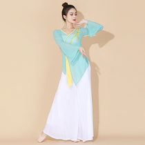 Dance protagonist classical dance dress female summer gauze elegant wide sleeves slim temperament body rhyme Chinese style practice base training uniform