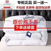 Down quilt winter thickened Hilton Hotel 95 white goose down quilt single double quilt core