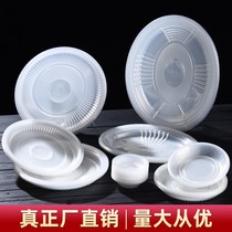 Disposable plate dish Dish Transparent Vegetable Dish Tray Plastic PP Food Grade High Temperature Resistant Cake Fruit