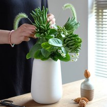 (Bergamot hydroponic) Jinhua bergamot with branches of water to raise bergamot fruit cut branches fresh bergamot flower arrangement clear for smell