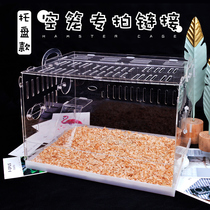Acrylic empty cage hamster cage transparent golden silk bear double nest supplies set set set large villa