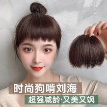 Personality dog gnawing bangs wig female Japanese two-dimensional nature no trace eyebrows short bangs wig round face repair