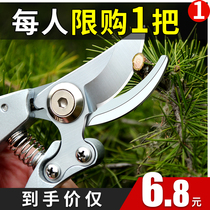 Pruning shears fruit trees pruning branches flower scissors gardening strong shears flower art household pedicure cutters