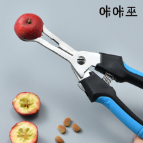 Hawthorn nuclear removal artifact stainless steel household pliers seed removal mini homemade Sugar-Coated Berry making material tools to do