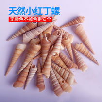 Natural Sea Snail Shell Tip Cone Snail Small Red Bum Fish Tank Aquarium VIEW DECORATION HANDMADE WINDBELL MATERIAL DIY