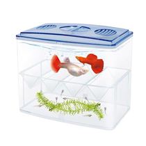 Guppies breeding artifact small fish tank isolation box ornamental fish breeding box guppies spawning room incubator two