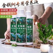 Money Tree special fertilizer nutrient solution flower fertilizer soil indoor wealth tree happy tree safe tree anti yellow leaf liquid fertilizer