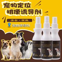 New creative pet Toilet Potty Teddy Inducers Dogs Bowels on the toilet Anti-dog urine spray positioning defecation