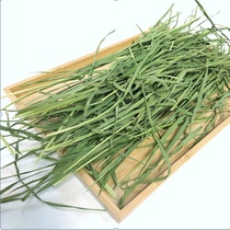  2021 Drying wheat grass gross weight 1000 grams seedling rabbit Chinchilla Dutch pig forage Wheat seedling hay early adopter