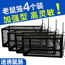 Grab the mouse cage a nest of the end of the home continuously destroy the mouse the trap the mouse and the arrest of the mouse.